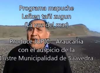 La música Mapuche - Tipos de ül