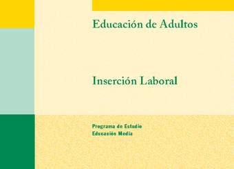 Educación Jóvenes y Adultos - EM - Formación Instrumental - Inserción laboral