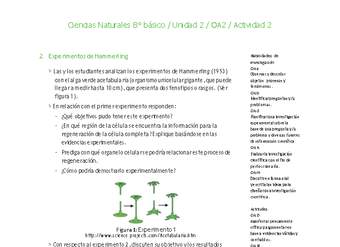 Ciencias Naturales 8° básico-Unidad 2-OA2-Actividad 2