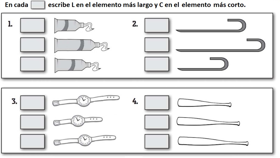 Ejercicio longitud