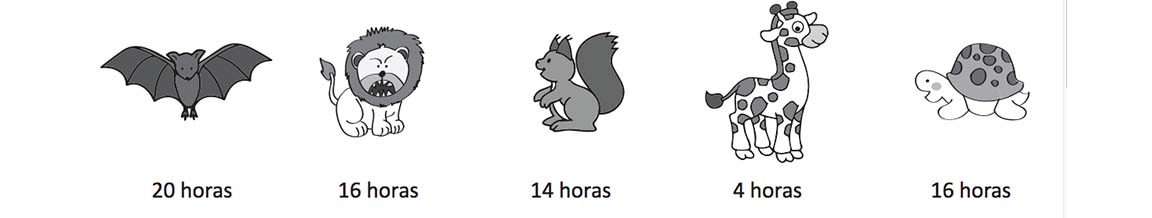 Información animales Información animales