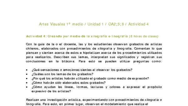 Artes Visuales 1 medio-Unidad 1-OA2;5;6-Actividad 4