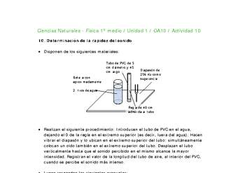 Ciencias Naturales 1 medio-Unidad 1-OA10-Actividad 10