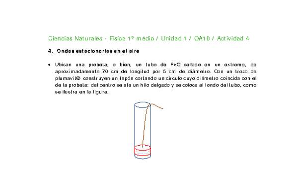 Ciencias Naturales 1 medio-Unidad 1-OA10-Actividad 4