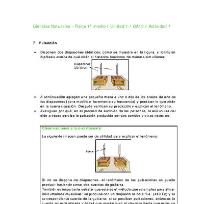 Ciencias Naturales 1 medio-Unidad 1-OA10-Actividad 7