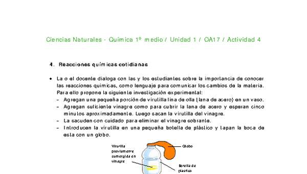 Ciencias Naturales 1 medio-Unidad 1-OA17-Actividad 4