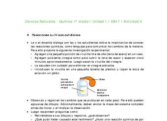 Ciencias Naturales 1 medio-Unidad 1-OA17-Actividad 4