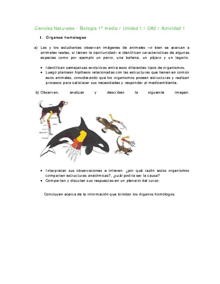 Ciencias Naturales 1 medio-Unidad 1-OA2-Actividad 1