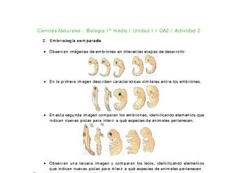 Ciencias Naturales 1 medio-Unidad 1-OA2-Actividad 2