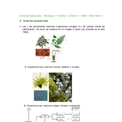 Ciencias Naturales 1 medio-Unidad 1-OA3-Actividad 3