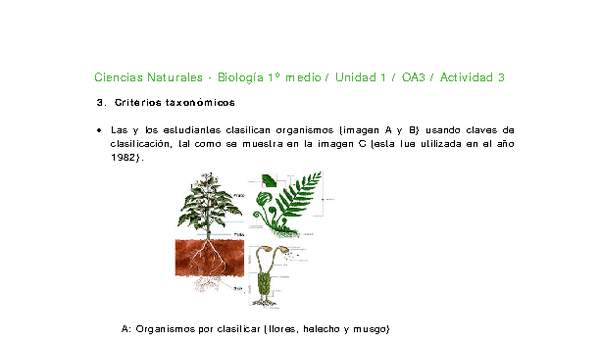 Ciencias Naturales 1 medio-Unidad 1-OA3-Actividad 3