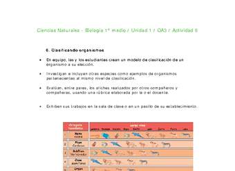 Ciencias Naturales 1 medio-Unidad 1-OA3-Actividad 6