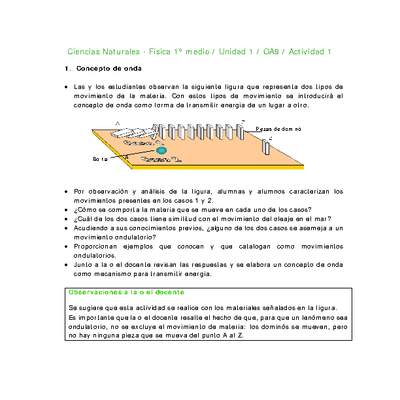 Ciencias Naturales 1 medio-Unidad 1-OA9-Actividad 1