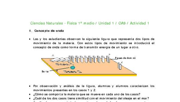 Ciencias Naturales 1 medio-Unidad 1-OA9-Actividad 1