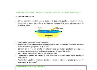 Ciencias Naturales 1 medio-Unidad 1-OA9-Actividad 2