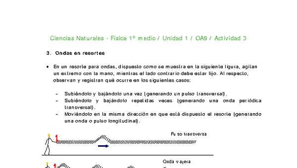 Ciencias Naturales 1 medio-Unidad 1-OA9-Actividad 3