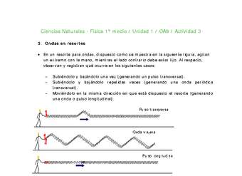 Ciencias Naturales 1 medio-Unidad 1-OA9-Actividad 3