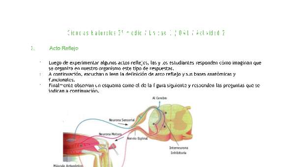 Ciencias Naturales 2 medio-Unidad 1-OA1-Actividad 2