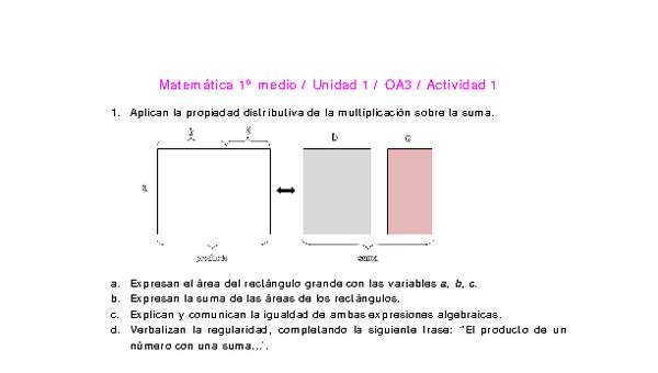 Matemática 1 medio-Unidad 1-OA3-Actividad 1