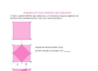 Matemática 2 medio-Unidad 1-OA1-Actividad 9