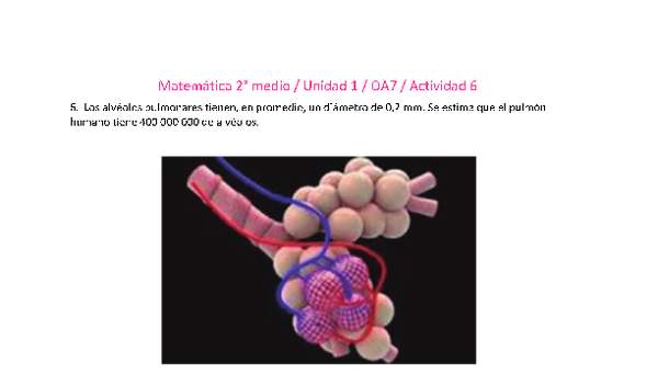 Matemática 2 medio-Unidad 1-OA7-Actividad 6