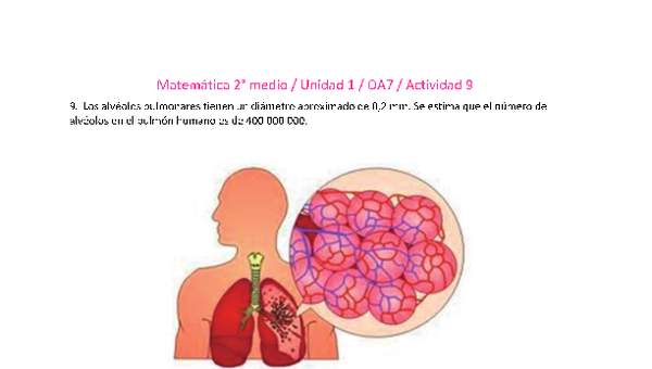 Matemática 2 medio-Unidad 1-OA7-Actividad 9