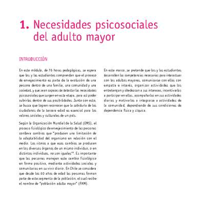 Módulo 01 - Necesidades psicosociales del adulto mayor