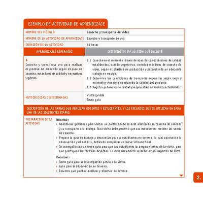 Cosecha y transporte de uva