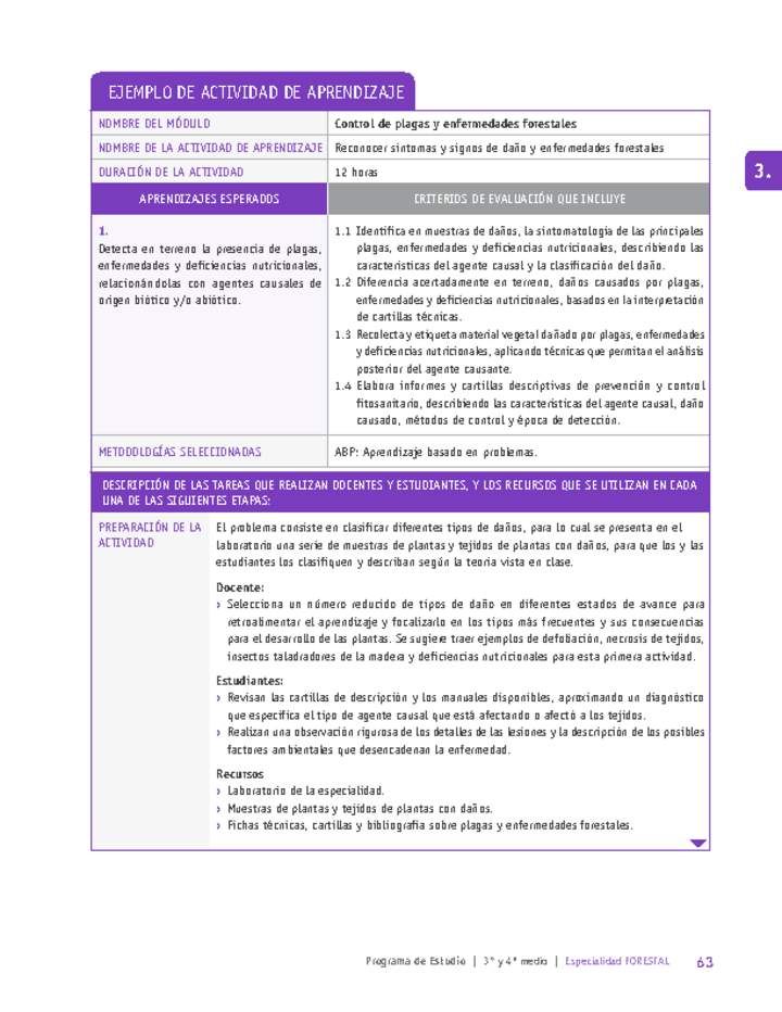 Reconocer síntomas y signos de daño y enfermedades forestales