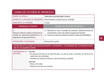 Reconocimiento visual de rocas y minerales