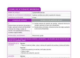 Captemos semillas para cultivar especies de moluscos