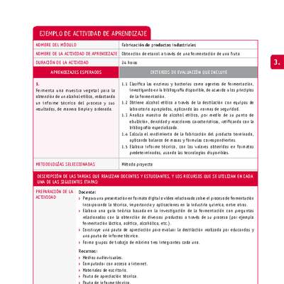 Obtención de etanol a través de una fermentación de una fruta