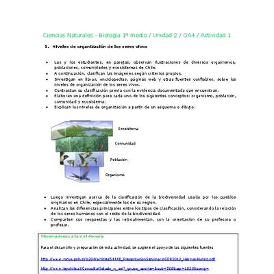 Ciencias Naturales 1 medio-Unidad 2-OA4-Actividad 1