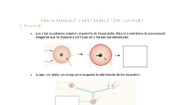 Ciencias Naturales 2 medio-Unidad 2-OA4-Actividad 1