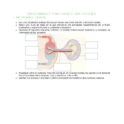 Ciencias Naturales 2 medio-Unidad 2-OA4-Actividad 5