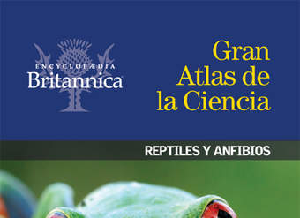 Reptiles y anfibios