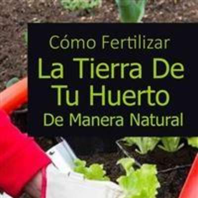 Cómo Fertilizar La Tierra De Tu Huerto De Manera Natural