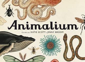 Animalium