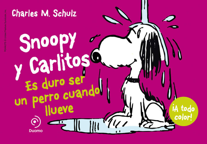 Snoopy y Carlitos 3. Es duro ser un perro cuando llueve