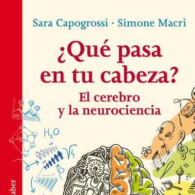 ¿Qué pasa en tu cabeza? El cerebro y la neurociencia