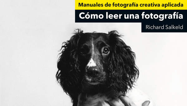 Cómo leer una fotografía