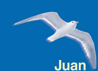 Juan Salvador Gaviota