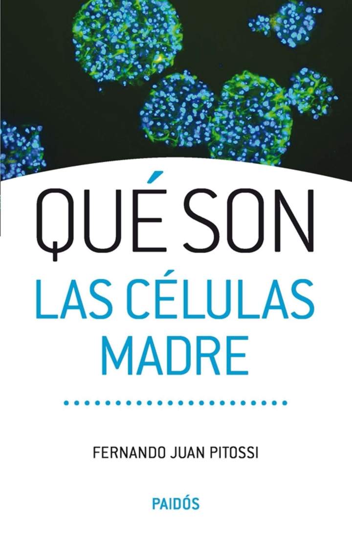 Qué son las células madre