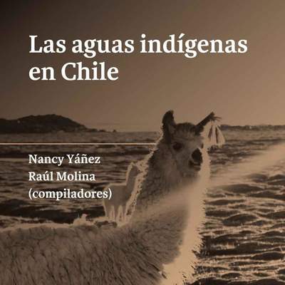 Las aguas indígenas en Chile