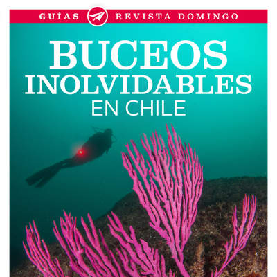 Buceos inolvidables en Chile