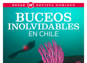 Buceos inolvidables en Chile