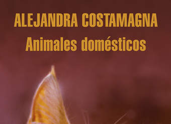 Animales domésticos