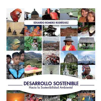 Desarrollo sostenible: Hacia la sostenibilidad ambiental