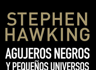 Agujeros negros y pequeños universos