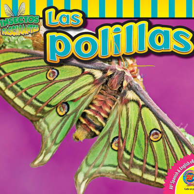 Las polillas